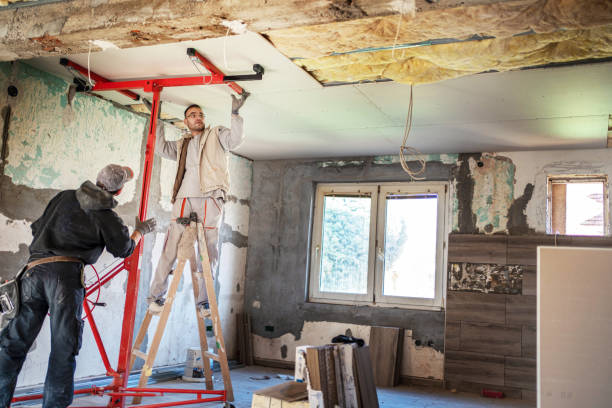 Best Cellulose Insulation in Lakeland North, WA